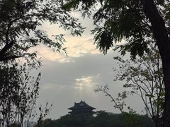 -溱湖国家湿地公园