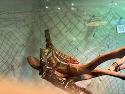 -Zoolung Zoolung动物主题公园(海信广场店)