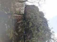 -山王坪喀斯特国家生态公园