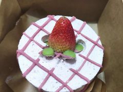 -野草莓自由市场