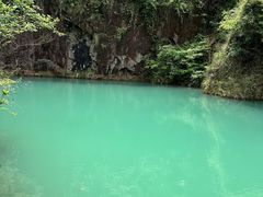 -大奇山国家森林公园