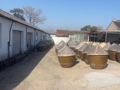 -苏州市吴中区光福窑上花果蜜饯厂