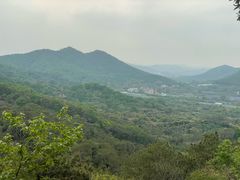 -风云岭森林公园