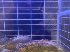 -再回头私房菜·老南京菜