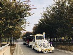 -江苏三台山国家森林公园