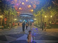 -三亚海昌梦幻海洋不夜城