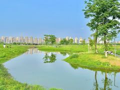 -洋湖国家湿地公园