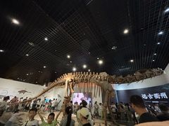 -衢州市博物馆