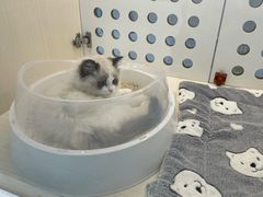 -comecome来吧宠物(奥克斯中心店)