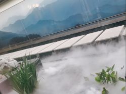 -爱儿美儿童摄影(朝阳公园店)