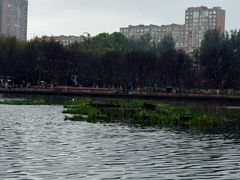 -翠湖公园