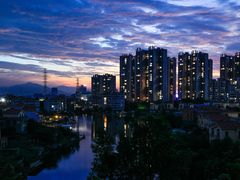 -三水森林公园