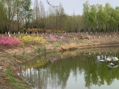 -大兴滨河森林公园