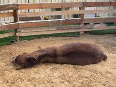 -HERRE·FARM 赫尔露营农场·团建聚会包场