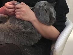 -小时光咖啡馆(北锣鼓巷店)