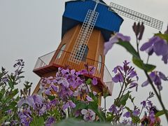 -兴芮温泉度假区