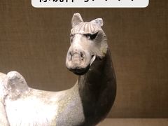 -宁夏博物馆