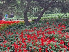 -黑龙江省森林植物园
