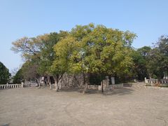 -云龙山