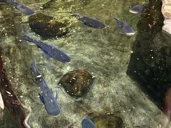 -耕渔小院·湖南鱼鲜(望城店)