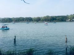 -昆山城市生态森林公园