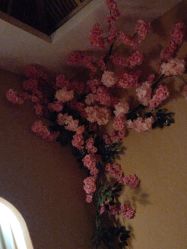 -永琪美容美发全国直营连锁