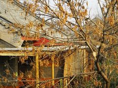 客房-北京九华山庄会展酒店