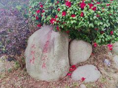 -武汉紫薇都市田园