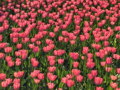 -长春公园(普阳街道)