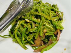 驼肚四季豆-九十九顶毡房(清河店)