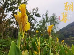 -湘湖逍遥庄园·水漾中餐厅