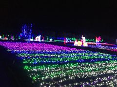 -广东花都香草世界旅游度假区
