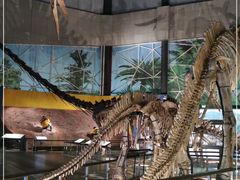 -湖南省地质博物馆