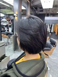 -藤野造型