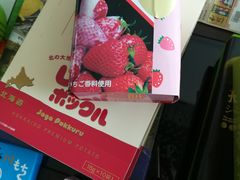 -关西国际机场直营免税店