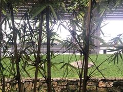 -大妙火锅·非物质文化遗产(东湖公园店)