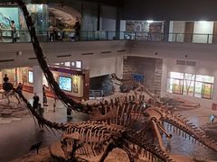 -自贡恐龙博物馆