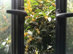 -芳满庭·江浙小馆(1912店)
