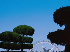 -石家庄市植物园