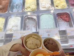 -iceason爱茜茜里·意大利健康冰淇淋(骑龙巷店)