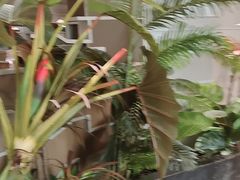 -湊湊火锅·茶憩(皇姑万象汇店)