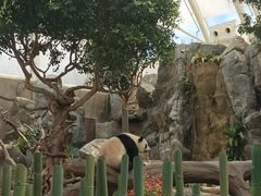 -香港海洋公园
