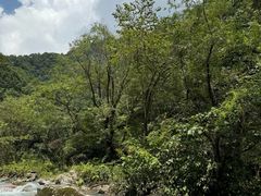 -西岭雪山大飞水景区