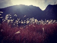 -石砭峪水库