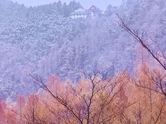 -九华山风景区