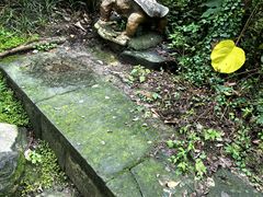 -成都市活水公园