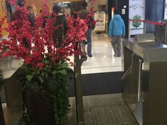 -丽池宫韩式汗蒸会馆(华灯坊店)