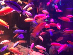 -沈阳海洋探索中心