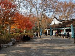 -莹珠阁·私房菜