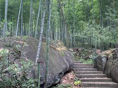 -山沟沟景区